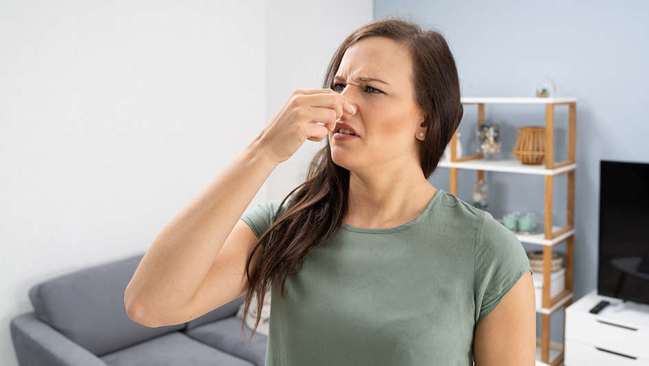 Six Common Air Conditioner Smells Explained and How to Solve Them